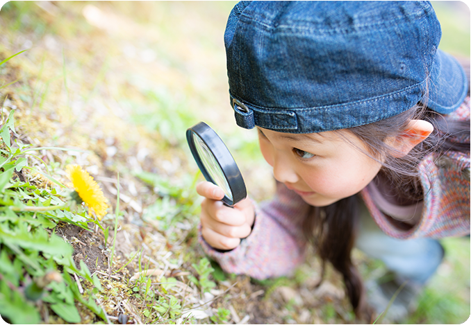 きょうの活動・自由時間